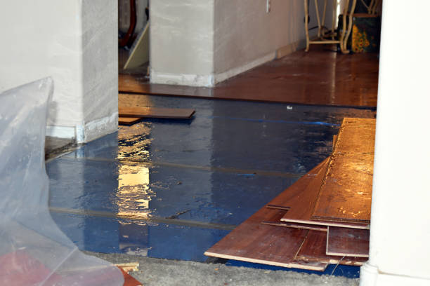 Professional Basement Flood Cleanup technician working in Merchantville, NJ